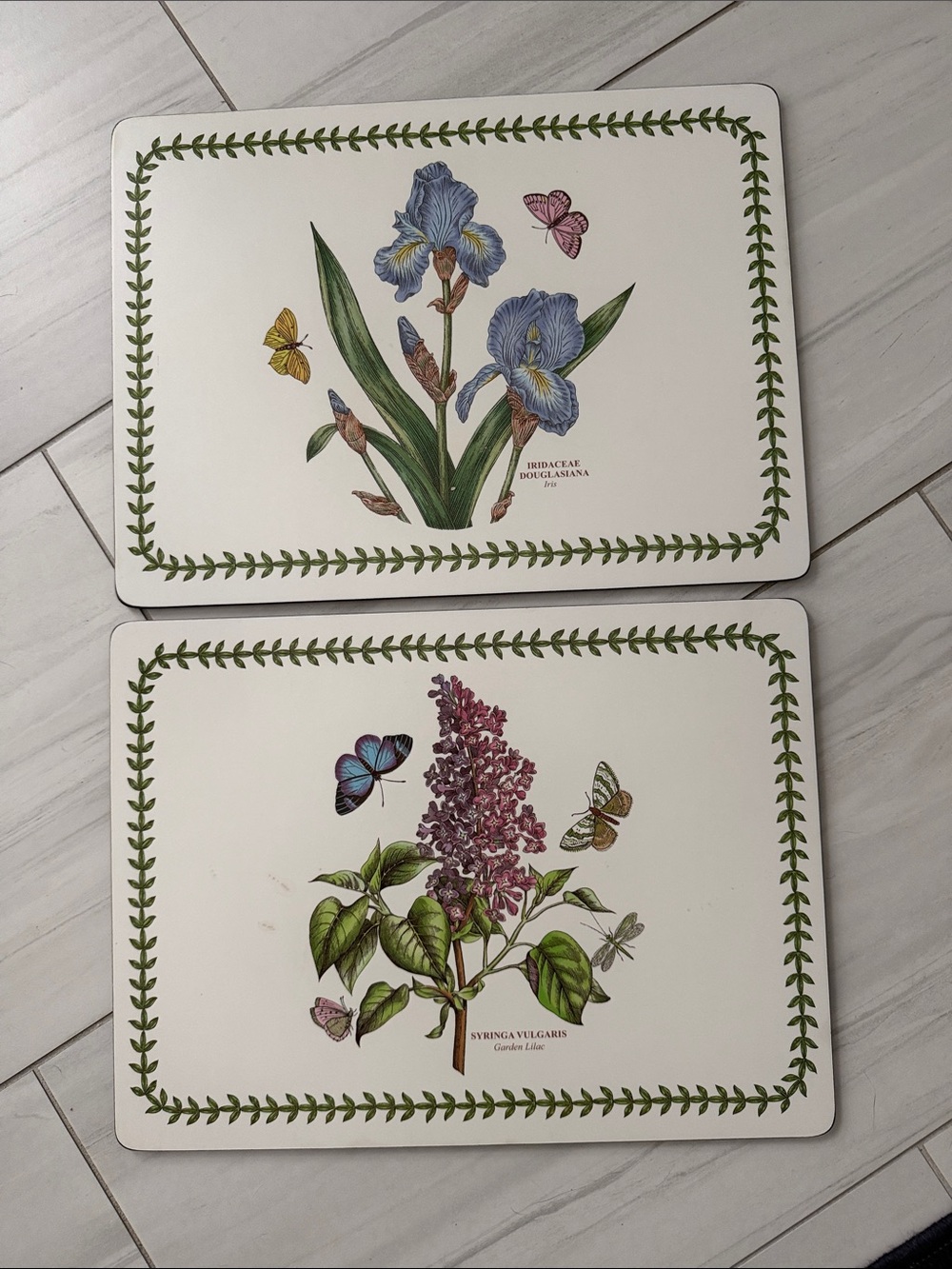 Portmeirion Botanic Garden Pimpernel Rectangular Placemats Cork Backing (2)